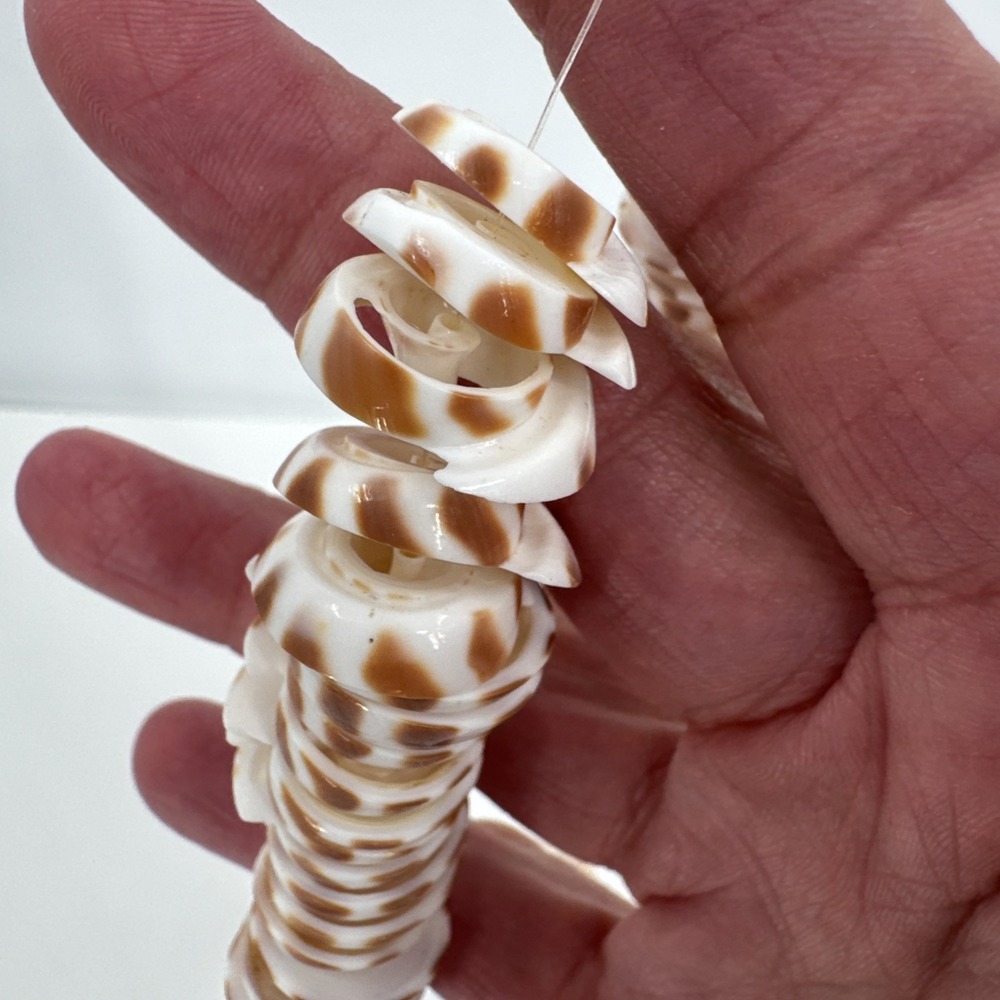 Tiger Cone Shell disc beads For Jewelry Making Pre Strung - Picture 2 of 6